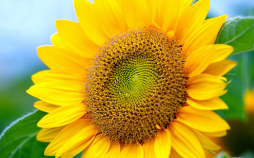 464862 (a): :2560x1600